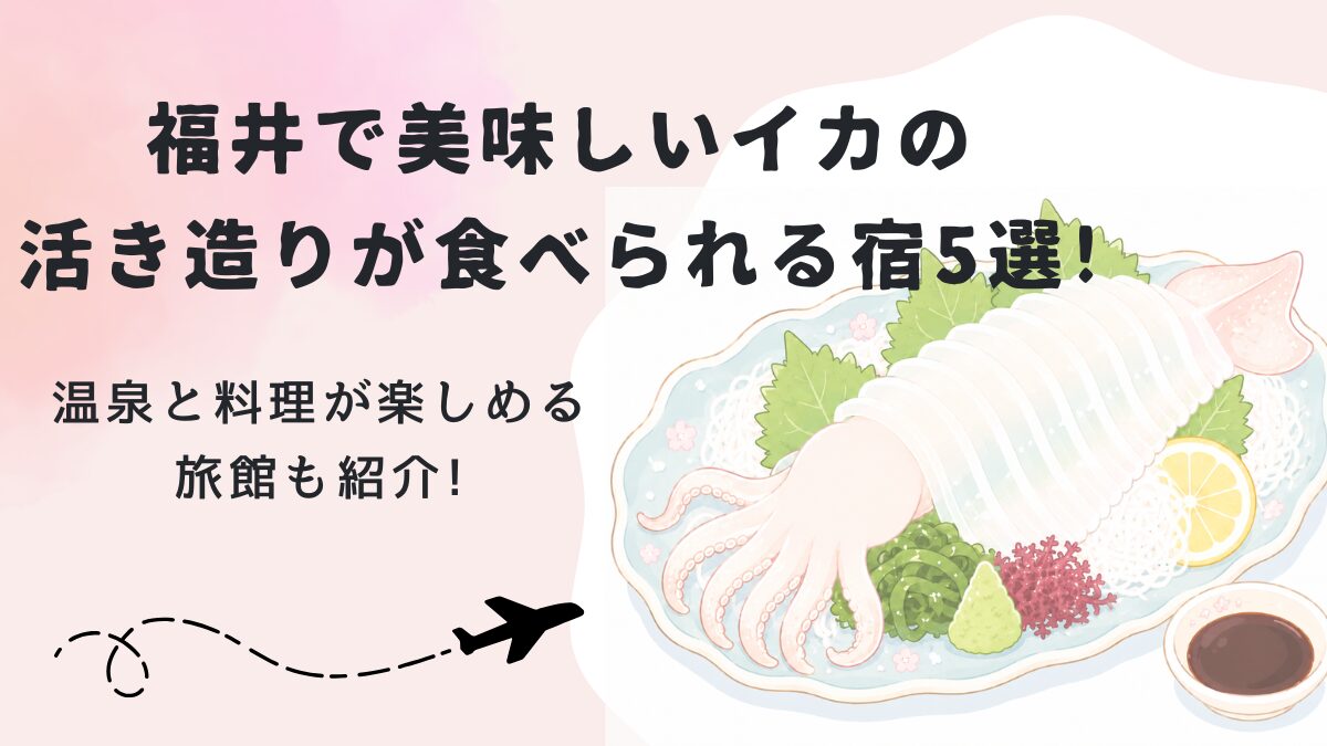 福井で美味しいイカの活き造りが食べられる宿5選!温泉と料理が楽しめる旅館も紹介!の画像